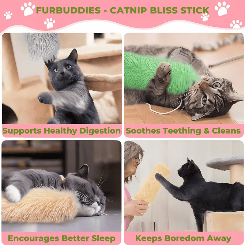 FurBuddies - Catnip Bliss Stick - FurBuddies