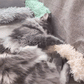 FurBuddies - Catnip Bliss Stick - FurBuddies